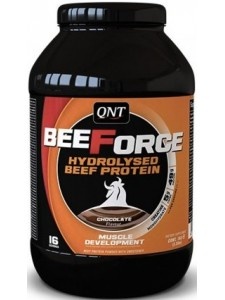 QNT BeeForce