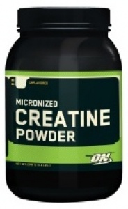 Optimum Nutrition Creatine Powder 