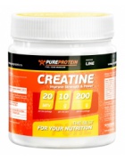 Pure Protein Creatine Transport System