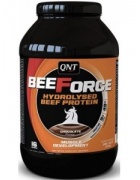 QNT BeeForce