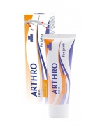 Ice Power Ice Power Arthro Creme