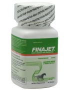 GAT/German American Technologies Finajet